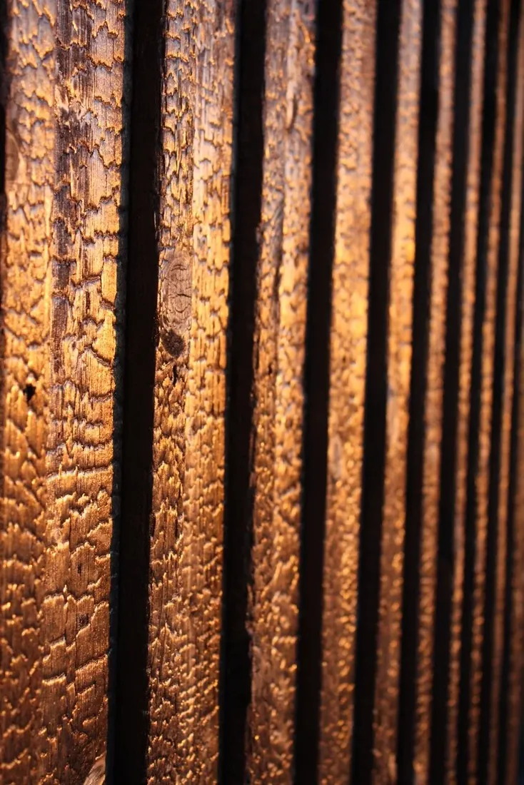 KROKO project, photo 3