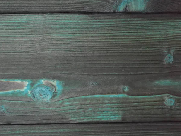 Spruce turquoise